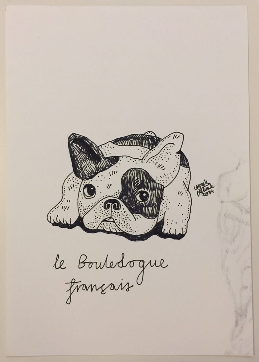 french-bulldog-2014-poor-quality-photo